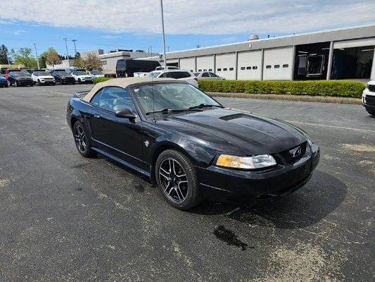 1999 Ford Mustang GT in Youngstown, OH - Jim Shorkey Youngstown